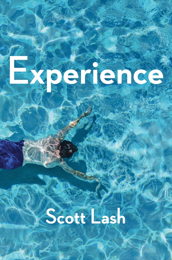 Обложка книги «Experience. New Foundations for the Human Sciences»