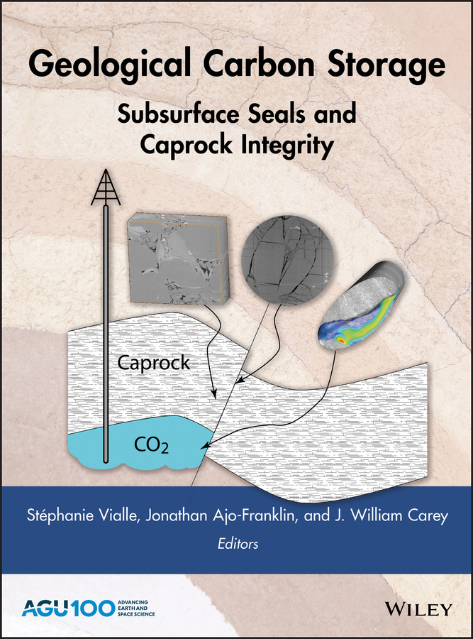 Обложка книги «Geological Carbon Storage. Subsurface Seals and Caprock Integrity»