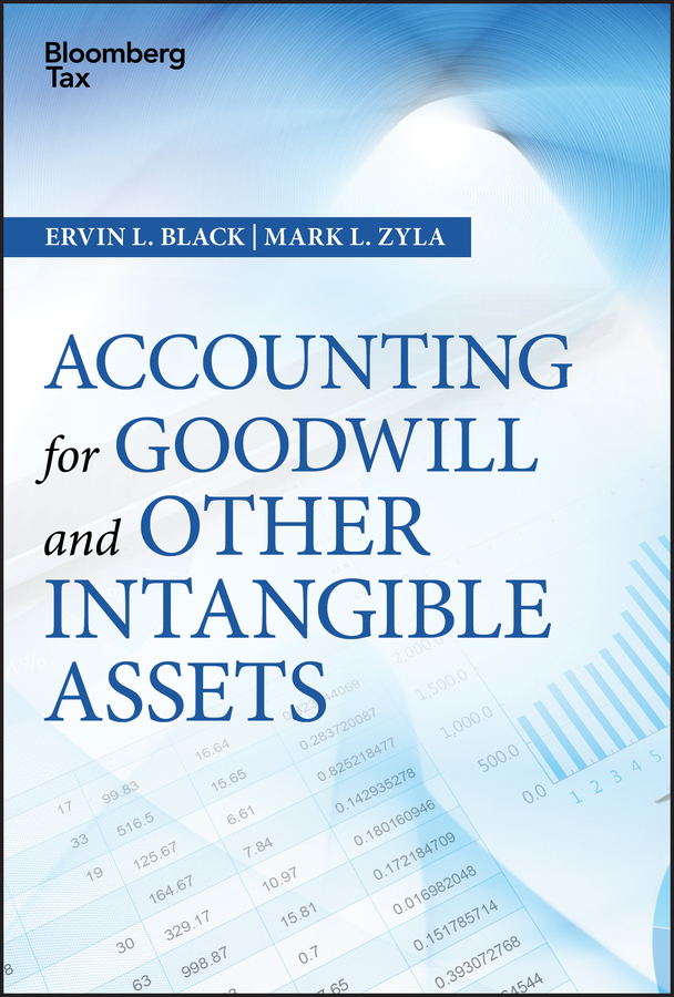 Обложка книги «Accounting for Goodwill and Other Intangible Assets»