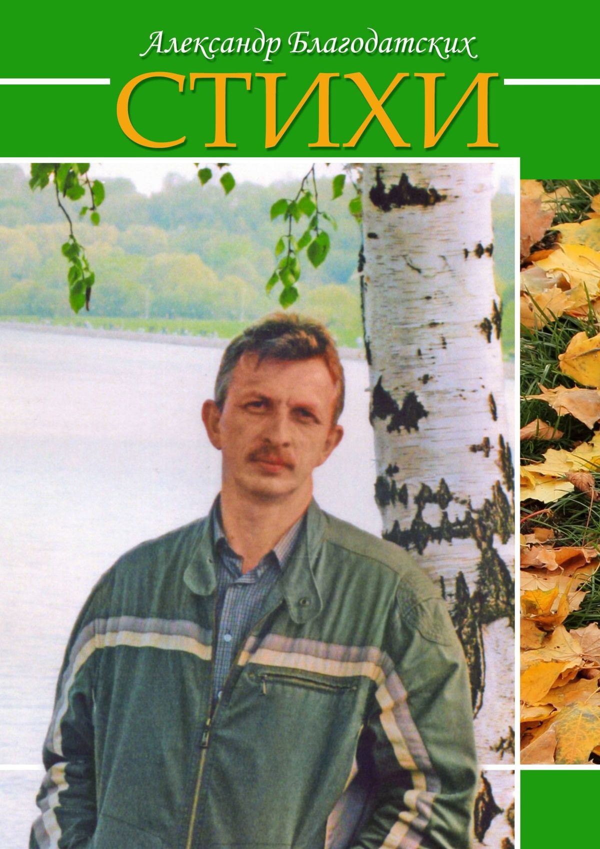 Обложка книги «Стихи»