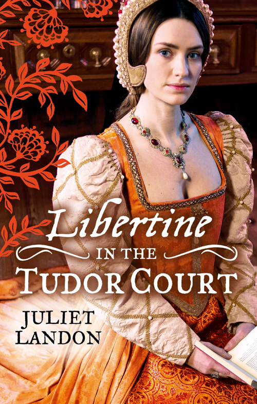 Обложка книги «LIBERTINE in the Tudor Court: One Night in Paradise / A Most Unseemly Summer»