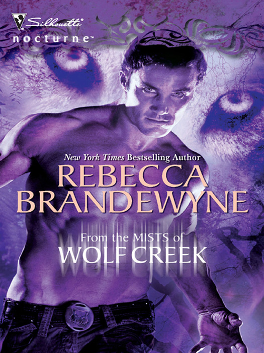Обложка книги «From The Mists Of Wolf Creek»