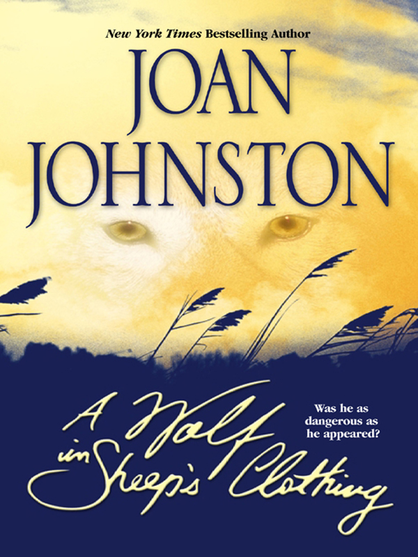 Обложка книги «A Wolf In Sheep's Clothing»