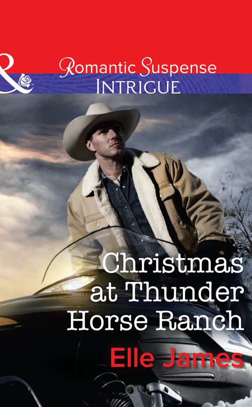 Обложка книги «Christmas at Thunder Horse Ranch»