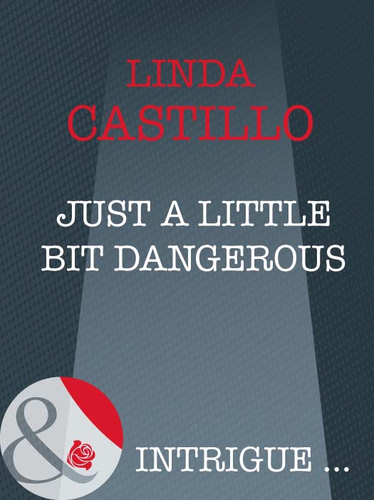 Обложка книги «Just A Little Bit Dangerous»