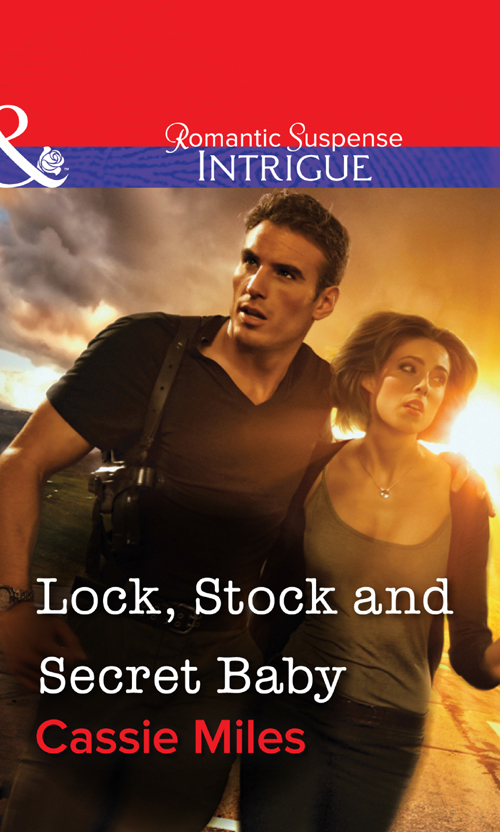 Обложка книги «Lock, Stock and Secret Baby»