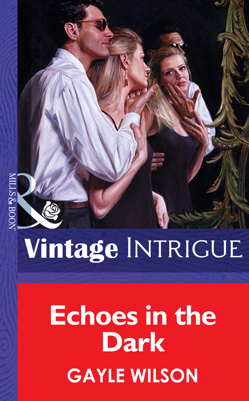 Обложка книги «Echoes in the Dark»