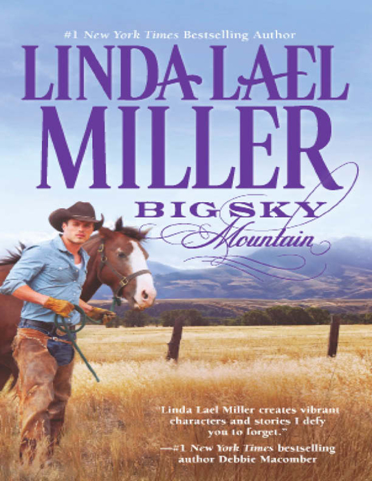 Обложка книги «Big Sky Mountain»