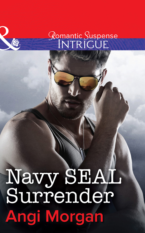 Обложка книги «Navy SEAL Surrender»