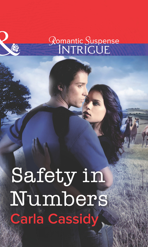 Обложка книги «Safety in Numbers»