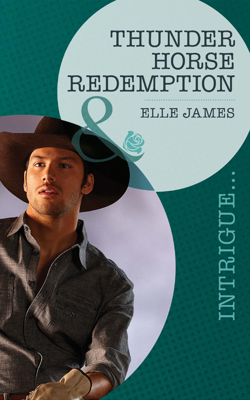 Обложка книги «Thunder Horse Redemption»