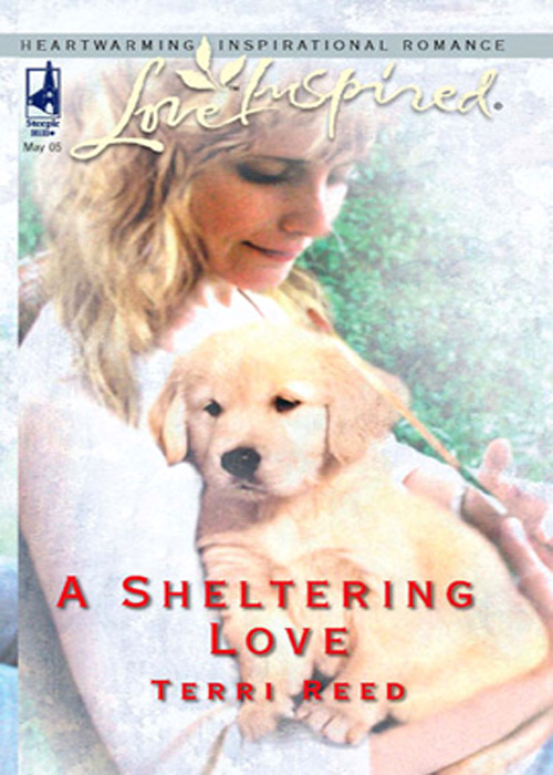 Обложка книги «A Sheltering Love»