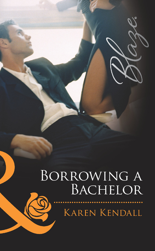 Обложка книги «Borrowing a Bachelor»
