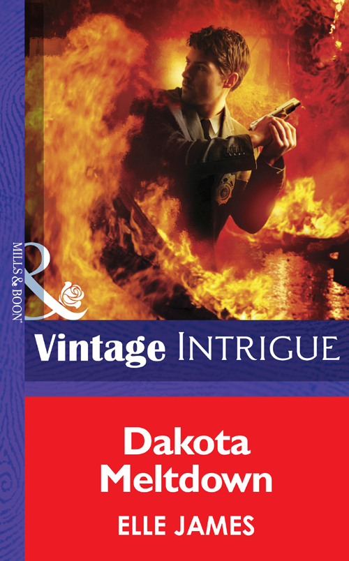 Обложка книги «Dakota Meltdown»