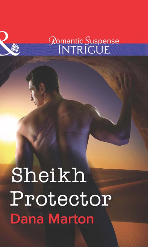 Обложка книги «Sheikh Protector»
