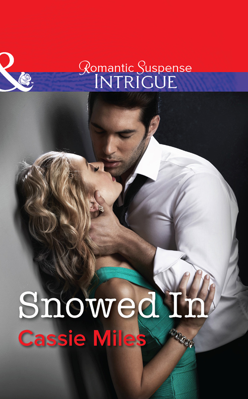 Обложка книги «Snowed In»