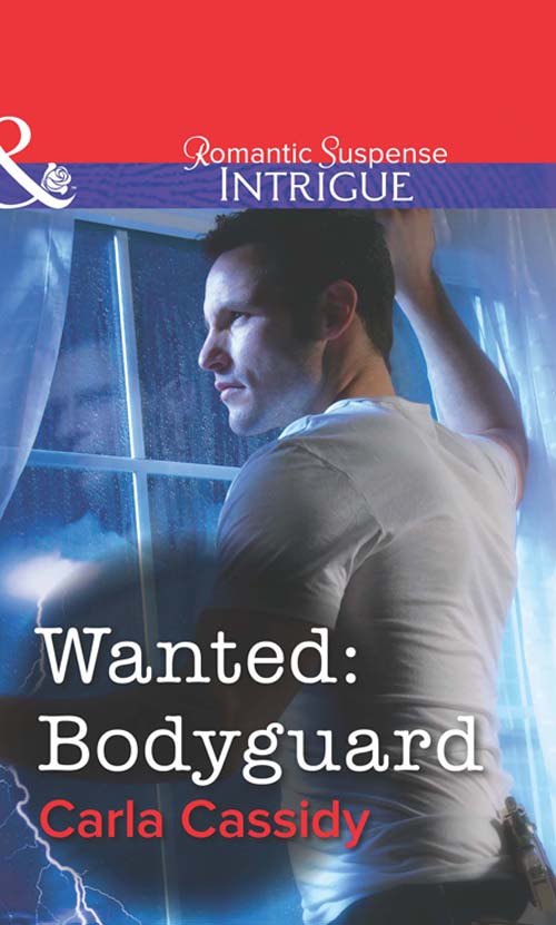 Обложка книги «Wanted: Bodyguard»