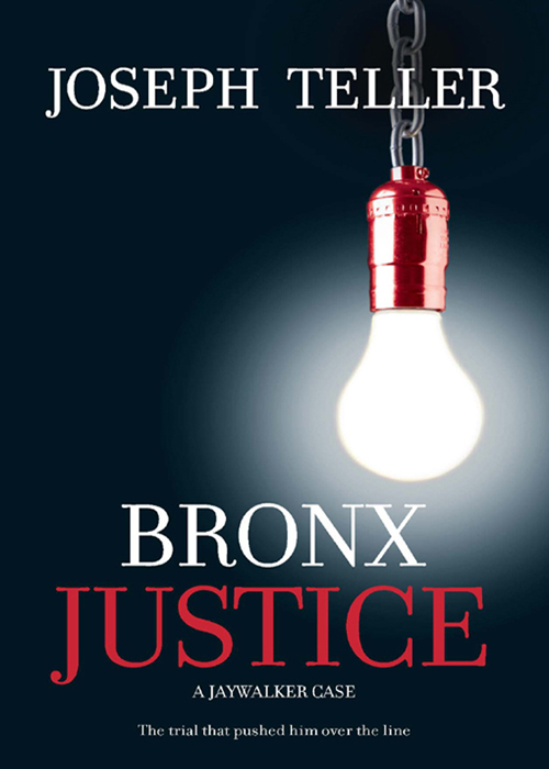Обложка книги «Bronx Justice»