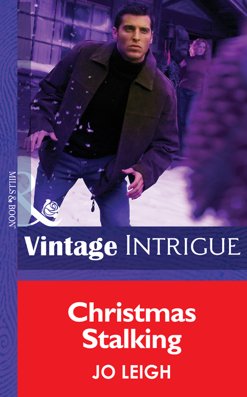 Обложка книги «Christmas Stalking»