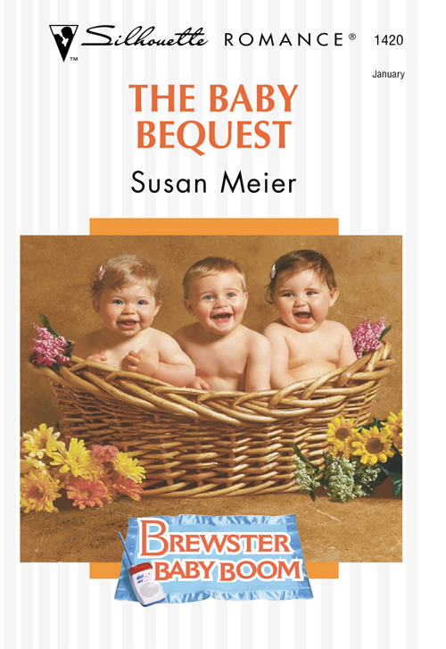 Обложка книги «The Baby Bequest»