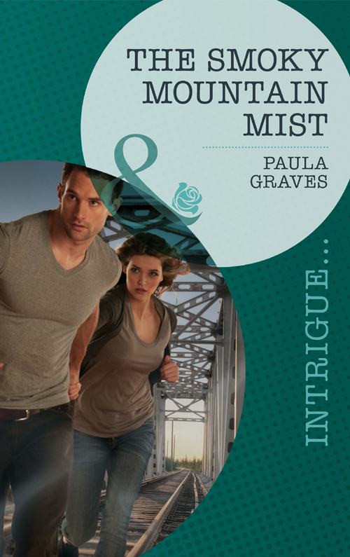 Обложка книги «The Smoky Mountain Mist»