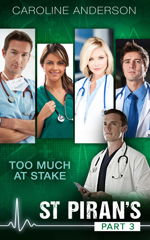 Обложка книги «Too Much At Stake»
