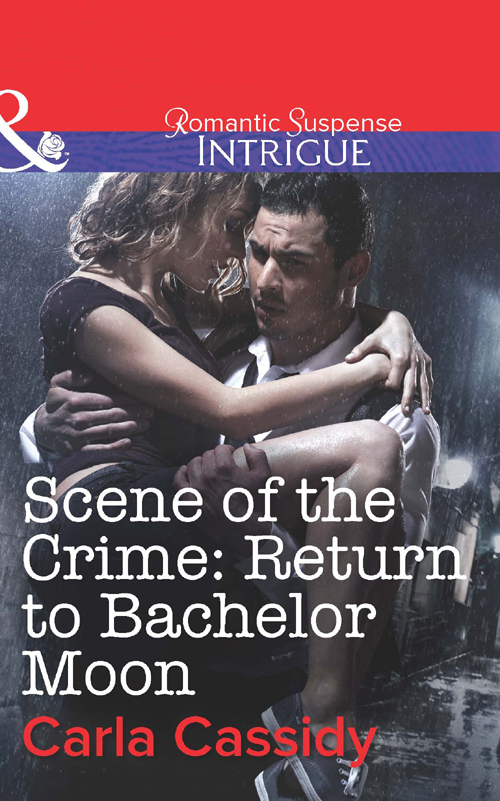 Обложка книги «Scene of the Crime: Return to Bachelor Moon»