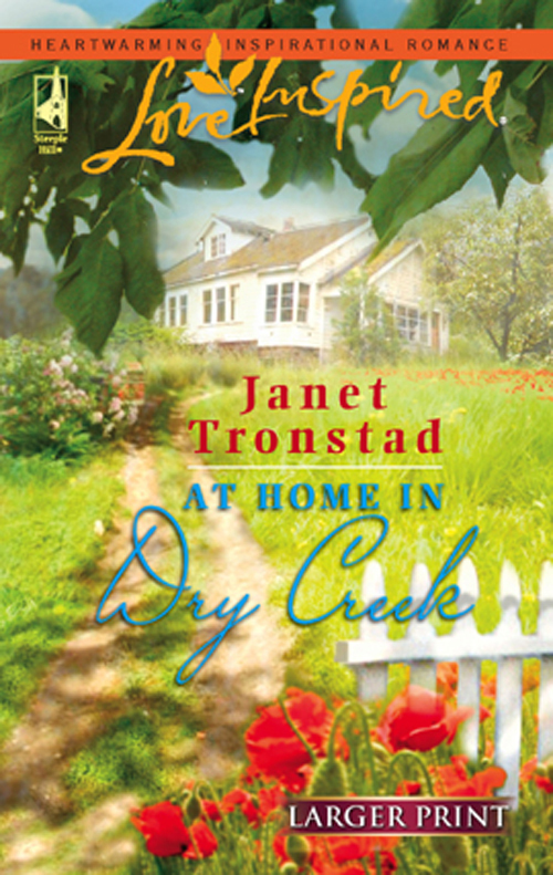 Обложка книги «At Home in Dry Creek»