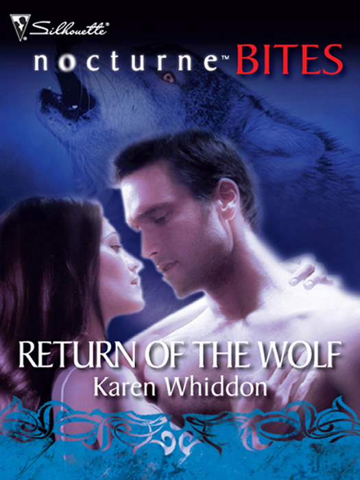 Обложка книги «Return of the Wolf»