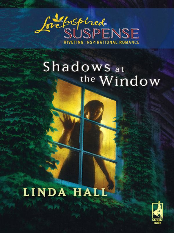 Обложка книги «Shadows At The Window»