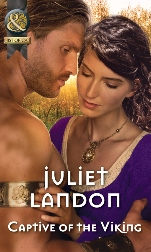 Обложка книги «Captive Of The Viking»