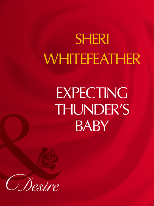 Обложка книги «Expecting Thunder's Baby»