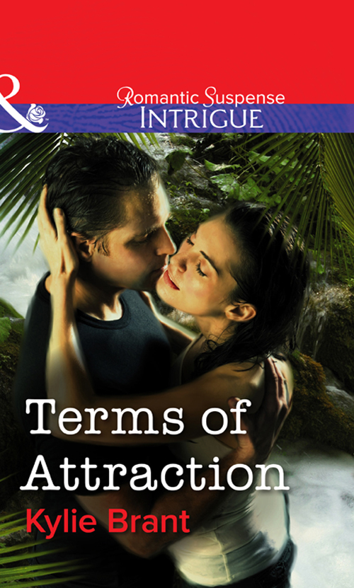 Обложка книги «Terms Of Attraction»