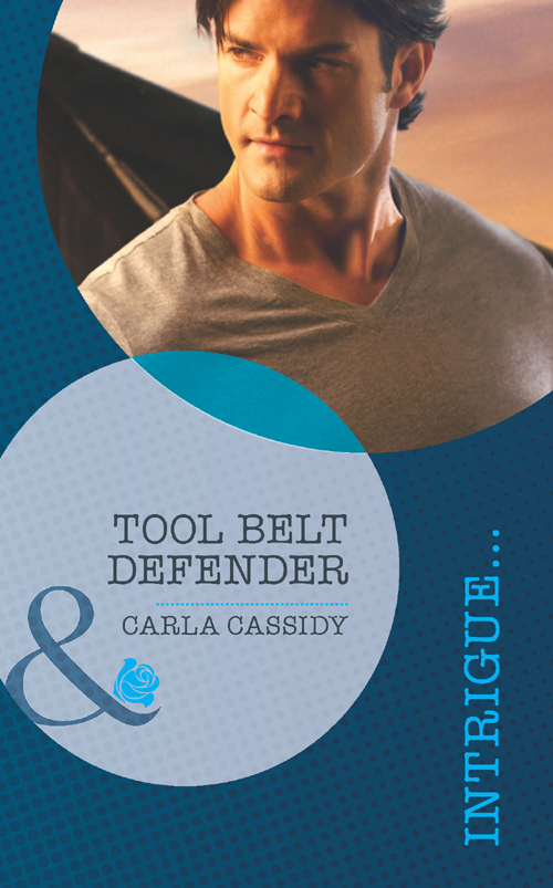 Обложка книги «Tool Belt Defender»