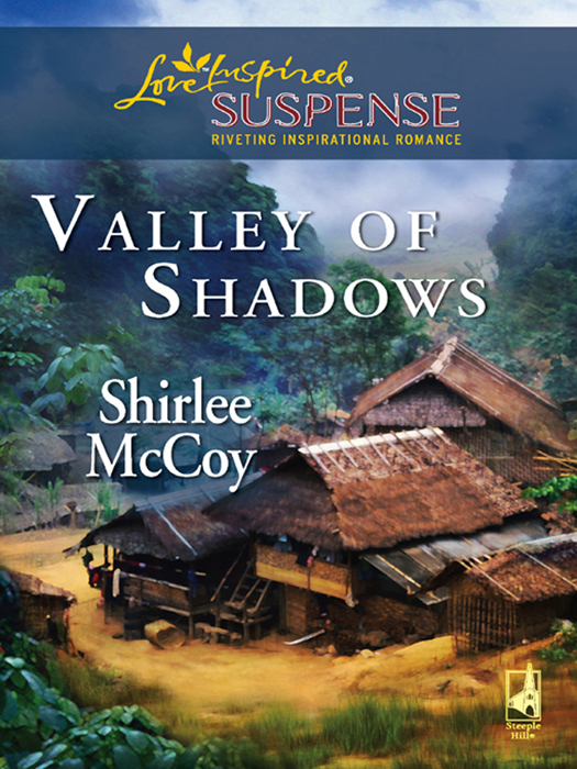 Обложка книги «Valley of Shadows»
