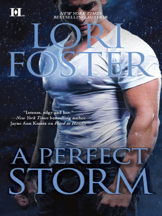 Обложка книги «A Perfect Storm»