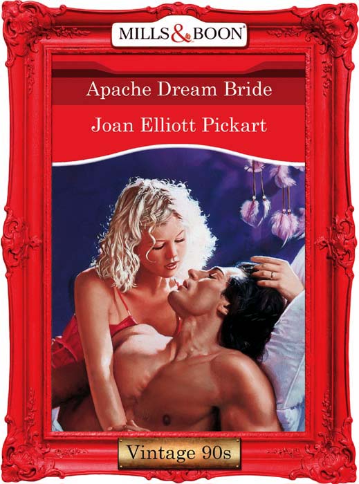 Обложка книги «Apache Dream Bride»