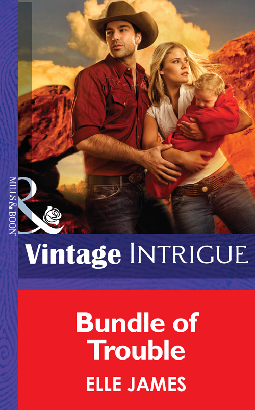 Обложка книги «Bundle of Trouble»