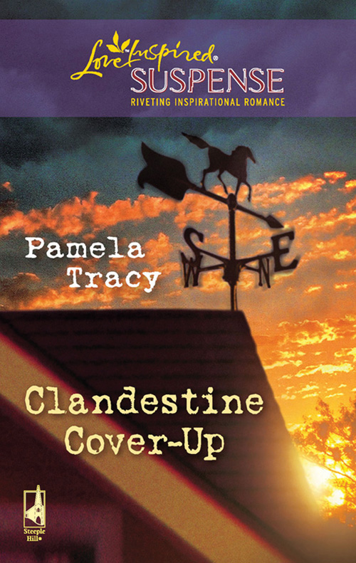Обложка книги «Clandestine Cover-Up»