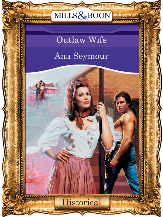 Обложка книги «Outlaw Wife»