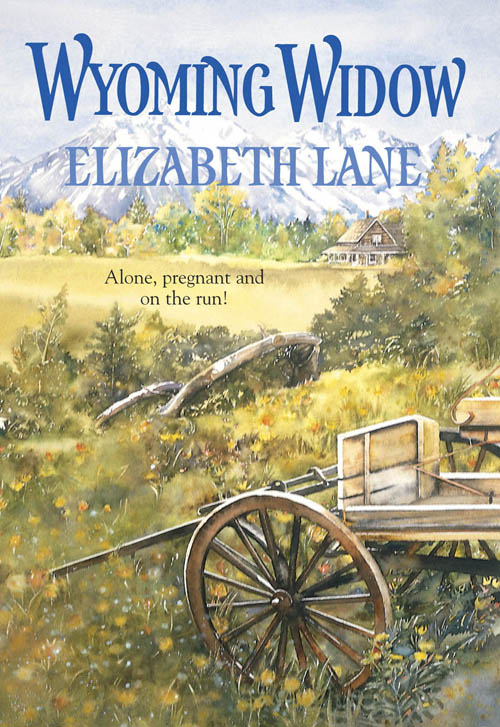 Обложка книги «Wyoming Widow»