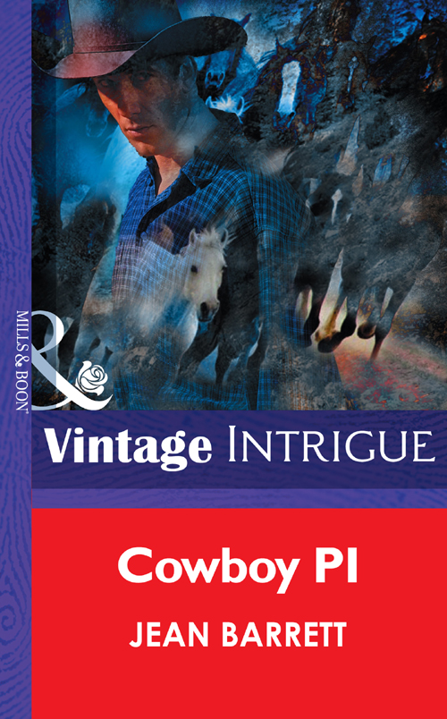 Обложка книги «Cowboy Pi»