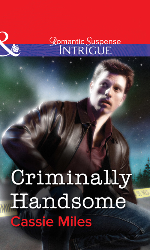 Обложка книги «Criminally Handsome»
