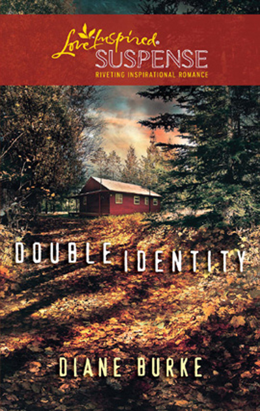 Обложка книги «Double Identity»