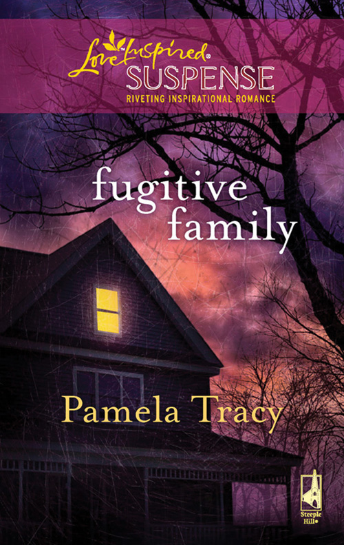 Обложка книги «Fugitive Family»