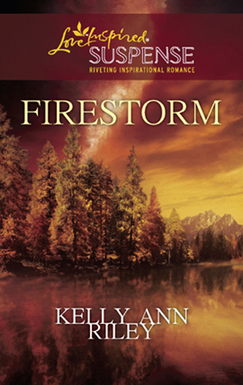 Обложка книги «Firestorm»