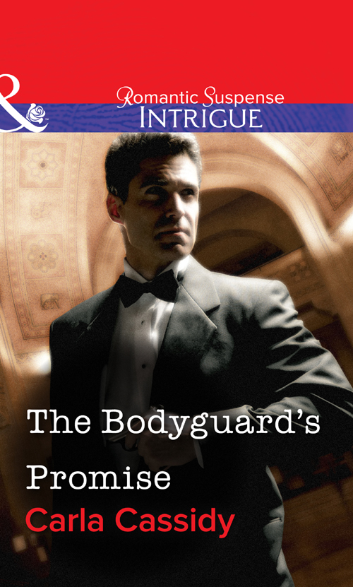 Обложка книги «The Bodyguard's Promise»