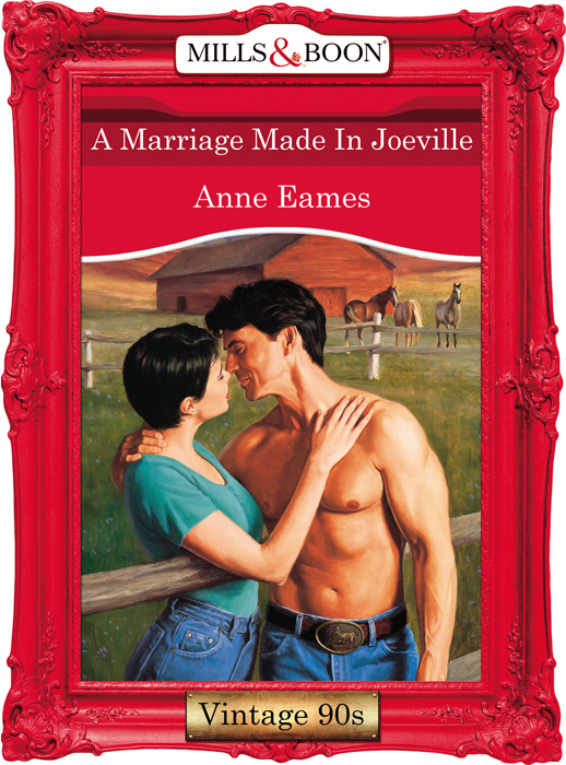 Обложка книги «A Marriage Made In Joeville»
