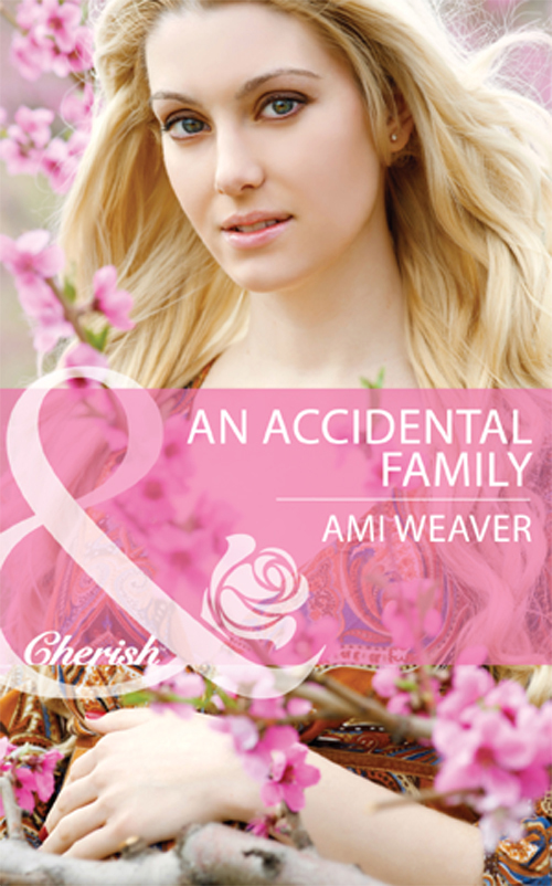 Обложка книги «An Accidental Family»