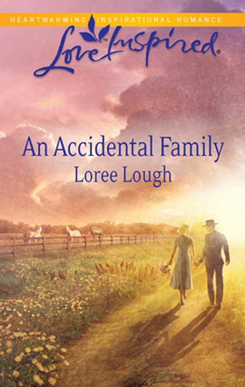 Обложка книги «An Accidental Family»